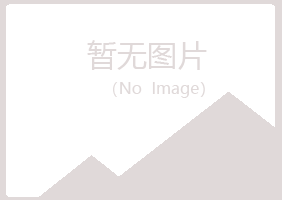 白山夏槐冶炼有限公司